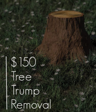 tree-trump-removal-houston-texas